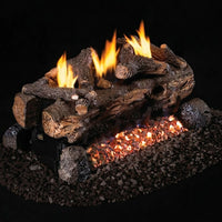24-inch Evening Fyre Split See-Through Ventless Gas Logs by Real Fyre