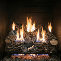 Design Specialties Arlington Ash 24-inch vented gas log set with six hand-painted logs and 65,000 BTU heat output