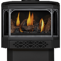 Napoleon Haliburton Millivolt Direct Vent Gas Stove - Model GDS28-1NSB