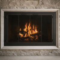 Carolina Sleek Steel Fireplace Glass Doors | Masonry & Prefab | Custom