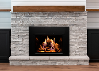 Empire Rainier 34" Direct Vent Gas Fireplace Insert - Model DVCP34