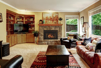 Majestic Ruby 25" Direct Vent Gas Fireplace Insert