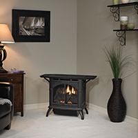 Empire Compact Cast Iron Vent-Free Gas Stove - Model VFD10CC