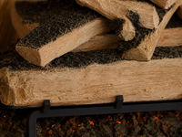 36" Western Pine Vented Gas Log Set | Hargrove — close-up bark and ember detail