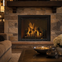 Reflection Standard Masonry Fireplace Glass Door — lifestyle