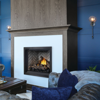 Napoleon Elevation 36" Direct Vent Gas Fireplace - Model E36NTE