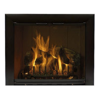 Reflection Custom Masonry Fireplace Glass Door