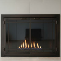 Carolina Window Pane - Masonry & Prefab Fireplace Glass Doors | Custom
