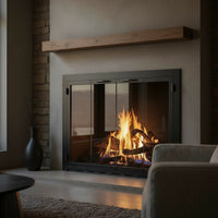 Carolina Sleek Steel Fireplace Glass Doors | Masonry & Prefab | Custom