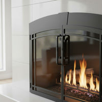 Buckingham Arch - Masonry Fireplace Glass Door | Custom