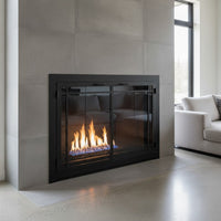 Carolina Window Pane - Masonry & Prefab Fireplace Glass Doors | Custom