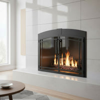 Buckingham Arch - Masonry Fireplace Glass Door | Custom