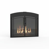 Buckingham Arch - Masonry Fireplace Glass Door | Custom