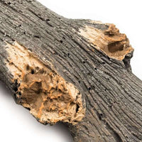 Grand Canyon Arizona Juniper See-Through Vented Gas Log Set - ExceptionalFire