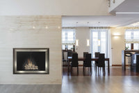 Madison - Masonry and Prefab Fireplace Doors - ExceptionalFire