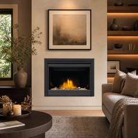 Napoleon Ascent X 42" Direct Vent Gas Fireplace — lifestyle