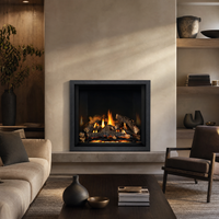 Napoleon Elevation X 36" Direct Vent Gas Fireplace — lifestyle