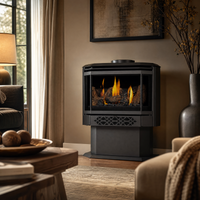 Napoleon Haliburton Electronic Ignition Direct Vent Gas Stove - Model GDS28-1NE — lifestyle
