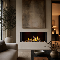 Napoleon Tall Bay Luxuria 50" 3-Sided Direct Vent Gas Fireplace - Model TLVX50LBN — lifestyle