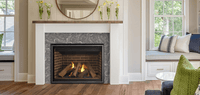 Majestic Meridian Platinum 42 gas fireplace lifestyle room shot