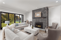 Majestic Ruby 30 gas insert contemporary with driftwood logs and decorative media