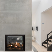 Empire Rushmore TruFlame See-Through 40" Direct Vent Gas Fireplace