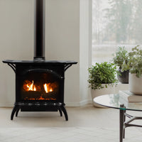 Empire Compact Cast Iron 20" Direct Vent Gas Stove - Model DVP20CC