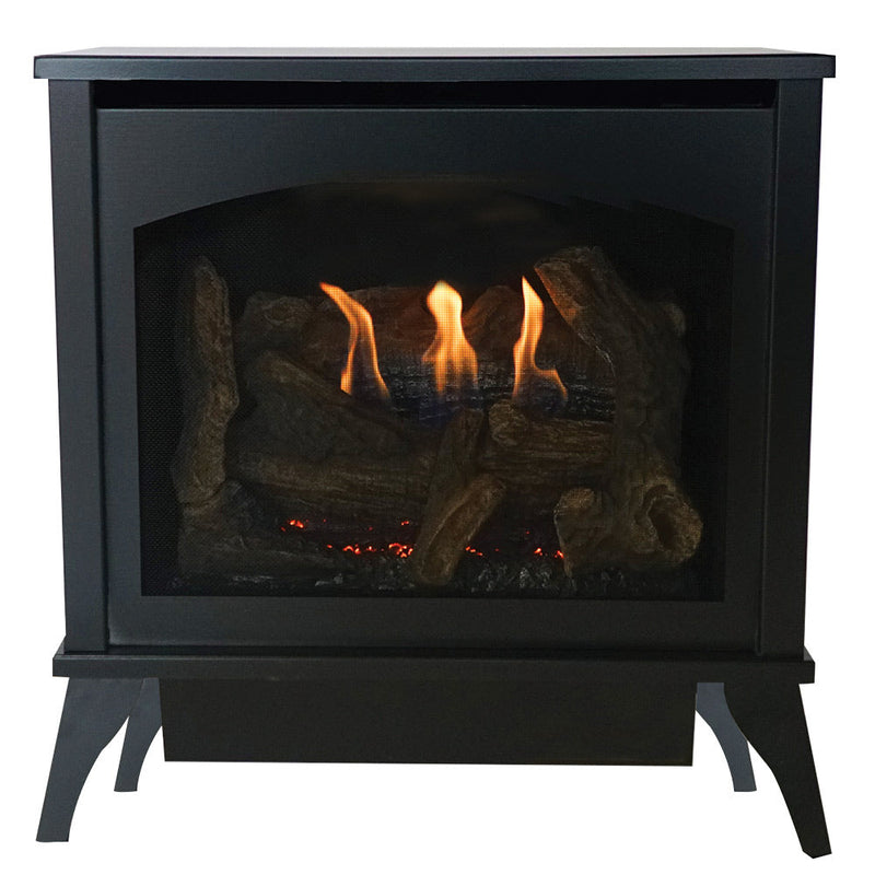 Empire Spirit 20" Direct Vent Steel Gas Stove - Model DVP20MS