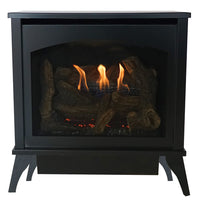 Empire Spirit 20" Direct Vent Steel Gas Stove - Model DVP20MS