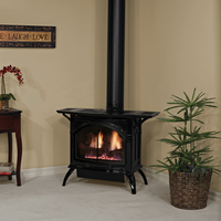 Empire Medium Cast Iron 30" Direct Vent Gas Stove - Model DVP30CC