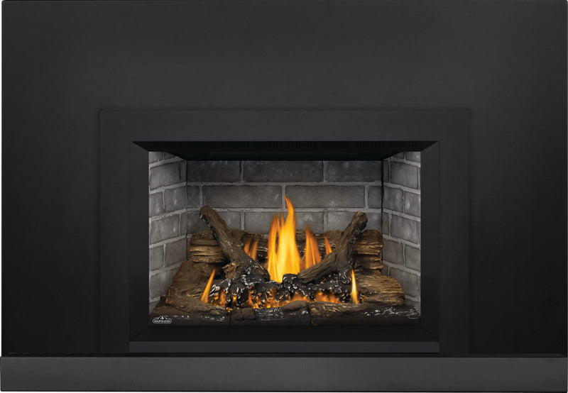 Napoleon Oakville 3 gas insert product shot with black small faceplate and Westminster panels