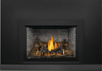Napoleon Oakville 3 gas insert product shot with black small faceplate and Westminster panels