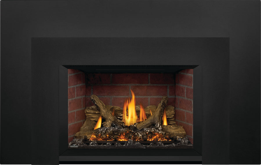 Napoleon Oakville X3 29" Direct Vent Gas Fireplace Insert