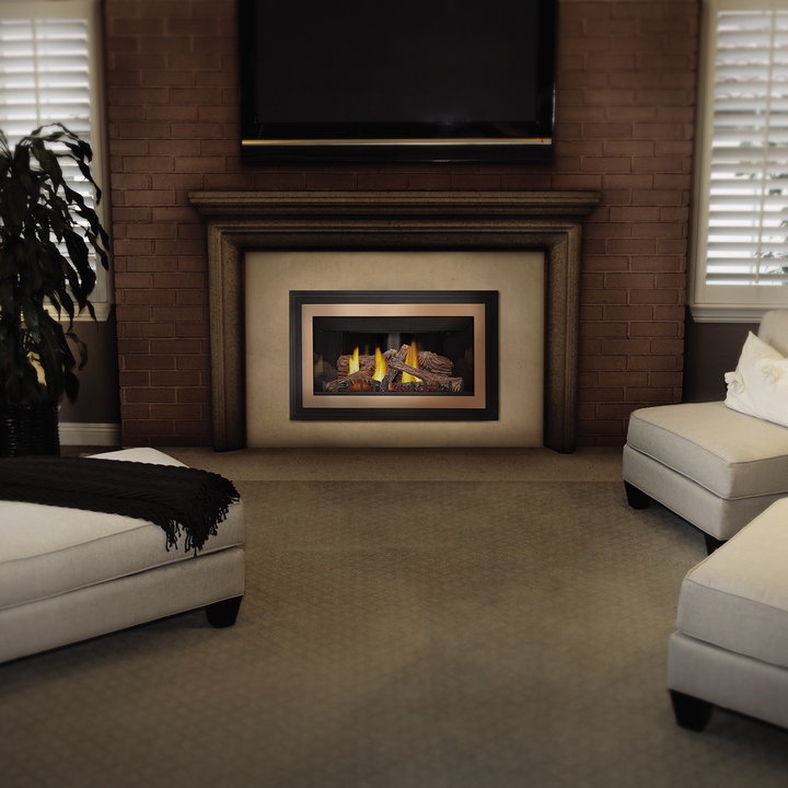 Napoleon Inspiration ZC Direct Vent Gas Fireplace Insert - Model GDIZC-NSB