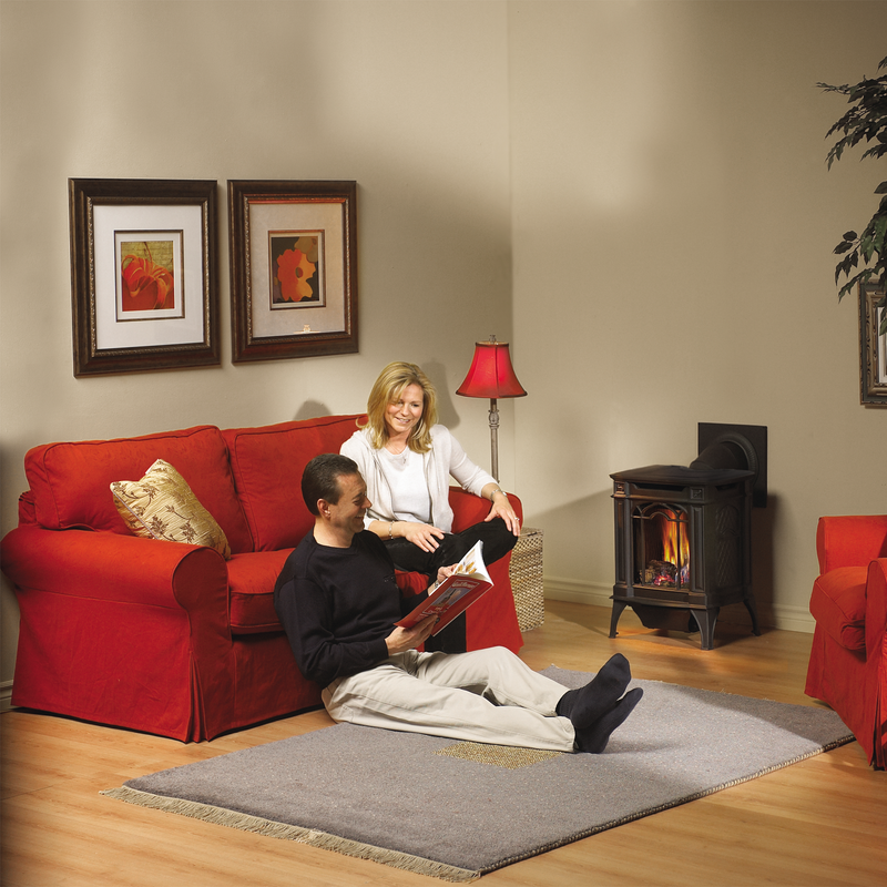 Napoleon Arlington Direct Vent Cast Iron Gas Stove - Model GDS20