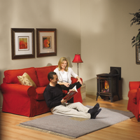 Napoleon Arlington Direct Vent Cast Iron Gas Stove - Model GDS20