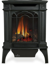 Napoleon Arlington Direct Vent Cast Iron Gas Stove - Model GDS20