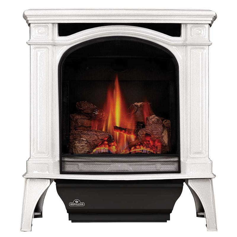 Napoleon Bayfield Direct Vent Cast Iron Gas Stove - Model GDS25-1
