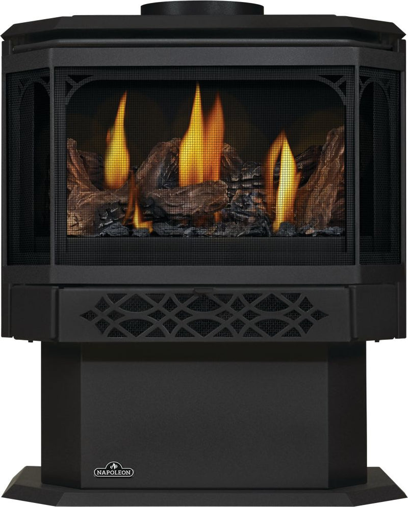 Napoleon Haliburton Millivolt Direct Vent Gas Stove - Model GDS28-1NSB