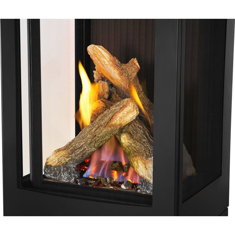 Napoleon Elora Direct Vent Gas Stove - Model GDS30LN