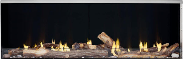 Napoleon Galaxy 62" Outdoor Linear Gas Fireplace - Model GSS62NE