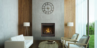Napoleon High Definition 35" Direct Vent Gas Fireplace - Model HD35NT-1
