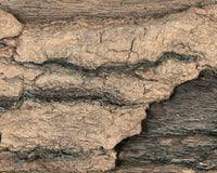 Half Round Log Non-Combustible Concrete Mantel Shelf Pale Honey Finish
