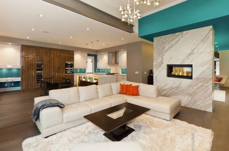 Napoleon Vector 38 See Through linear gas fireplace lifestyle angle shot in living room