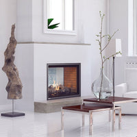 Montigo Divine 42" See-Through Direct Vent Gas Fireplace - Model H42FSD