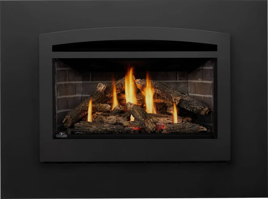 Napoleon Rosedale 3 29" Direct Vent Gas Fireplace Insert
