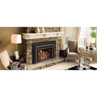 Real Fyre iSeries 25" Direct Vent Gas Fireplace Insert - Model DVI-25i