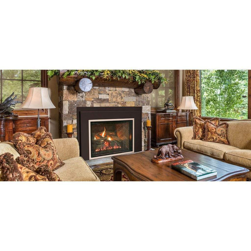 Real Fyre mSeries Millivolt 30" Direct Vent Gas Fireplace Insert - Model DVI-30m