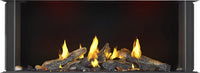 Napoleon Tall Bay Luxuria 50" 3-Sided Direct Vent Gas Fireplace - Model TLVX50LBN
