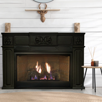 Empire Innsbrook 20" Vent-Free Gas Fireplace Insert - Model VFPC20IN